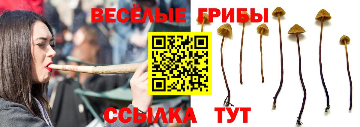Галлюциногенные грибы мухоморы  Вход с VPN  Галлюциногенные грибы мухоморы  Озёры 